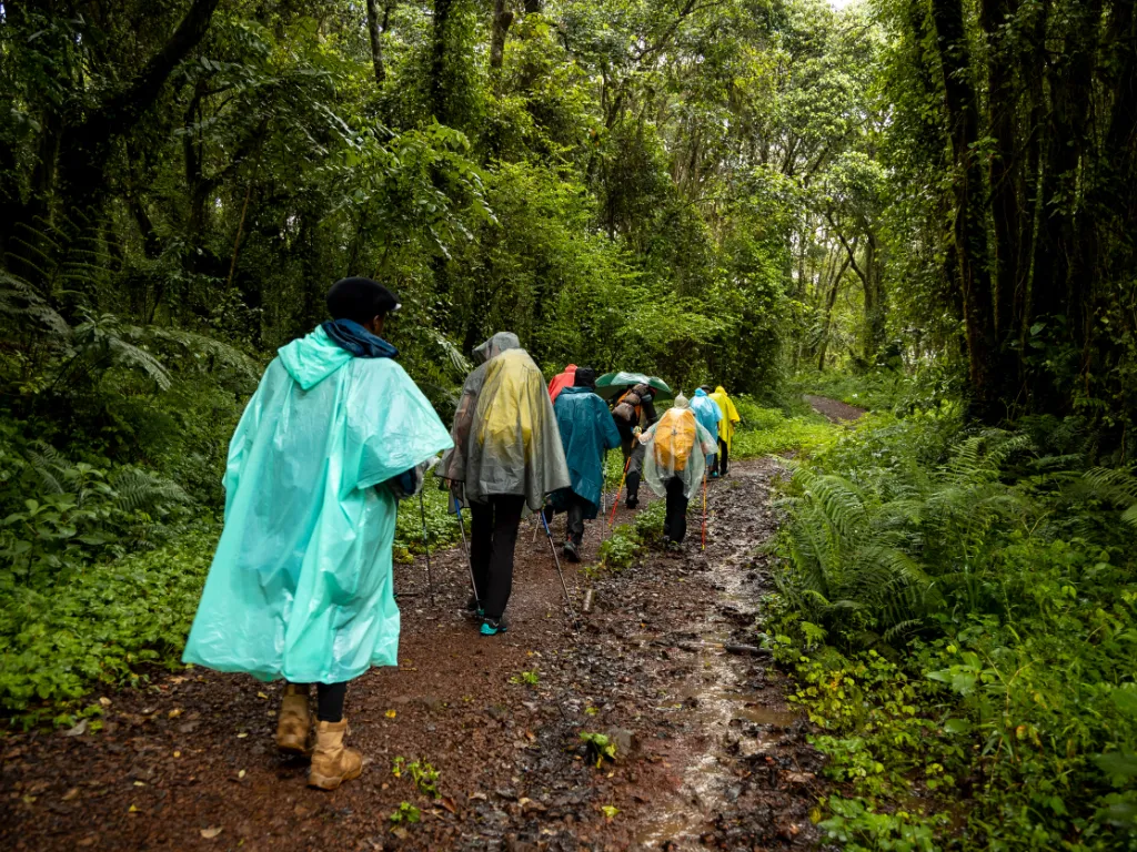 best time to climb kilimanjaro1