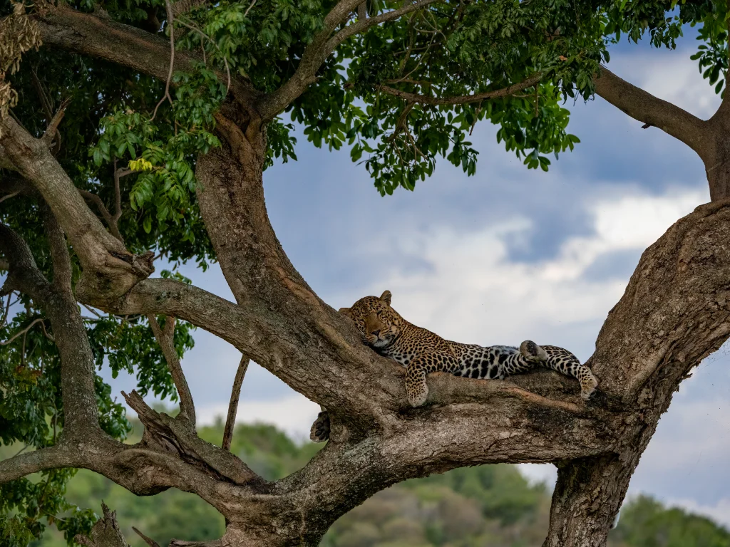 tanzania travel itineraries 6