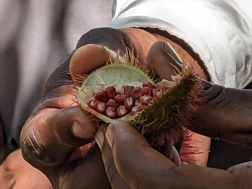 Zanzibar spice tour
