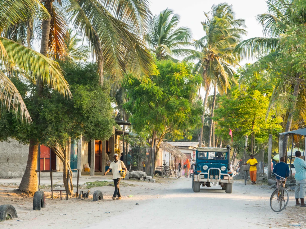 Streets of Zanzibar
